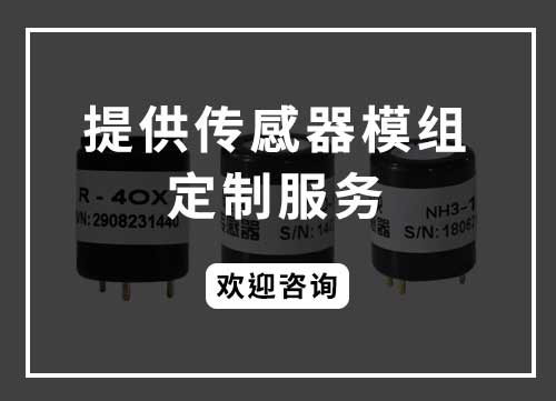 模組-定制